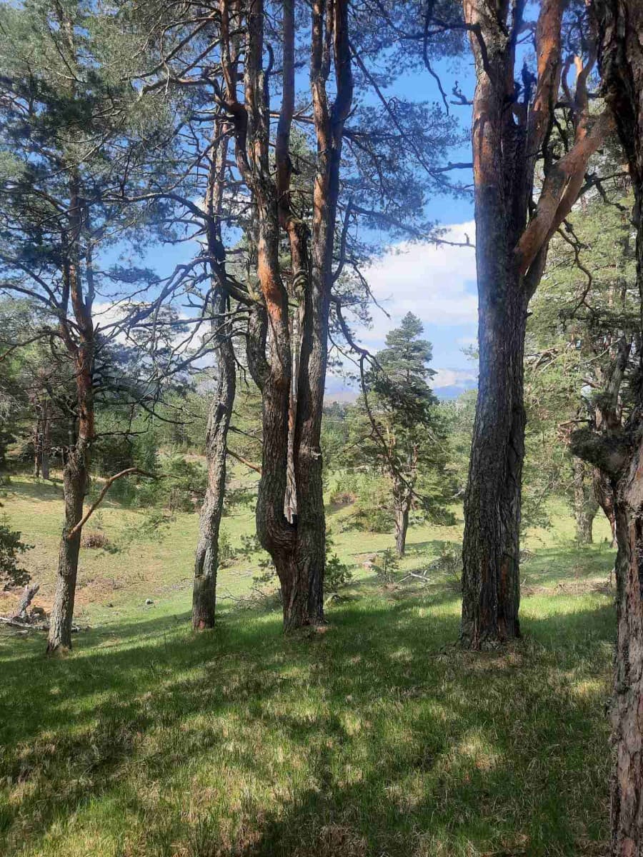 Prodaje se urbanizovan plac