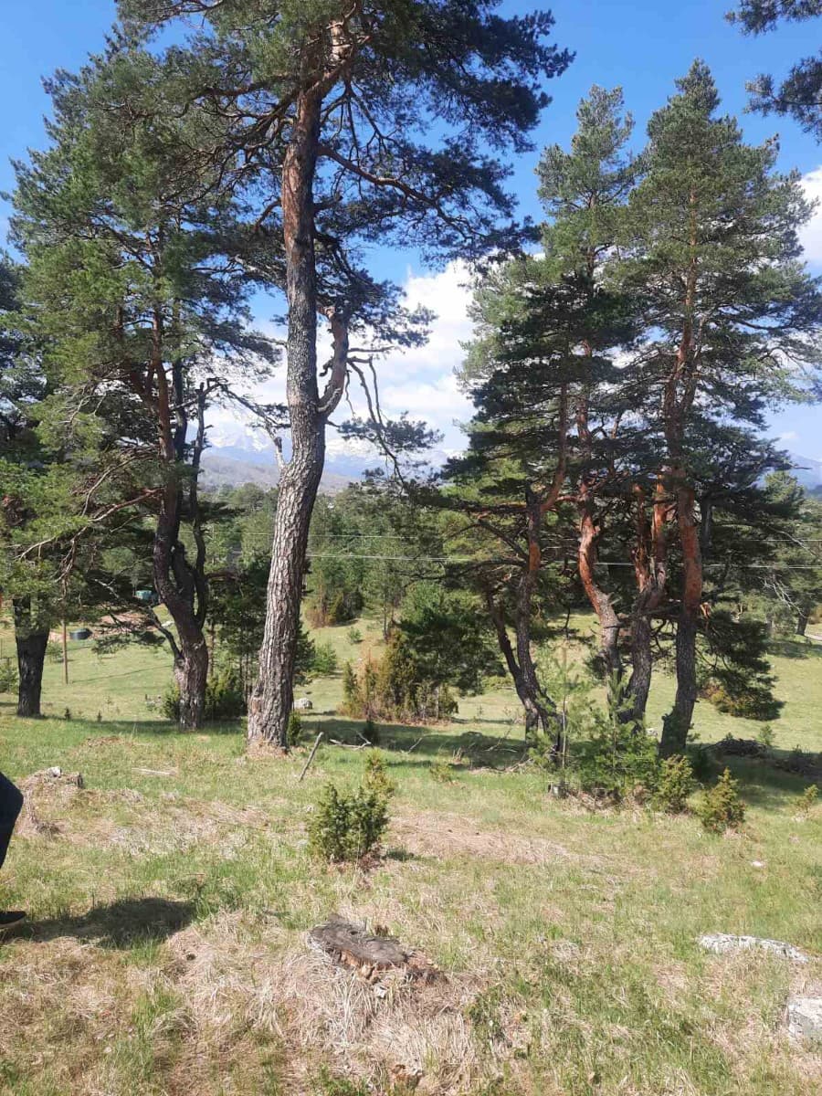 Prodaje se urbanizovan plac