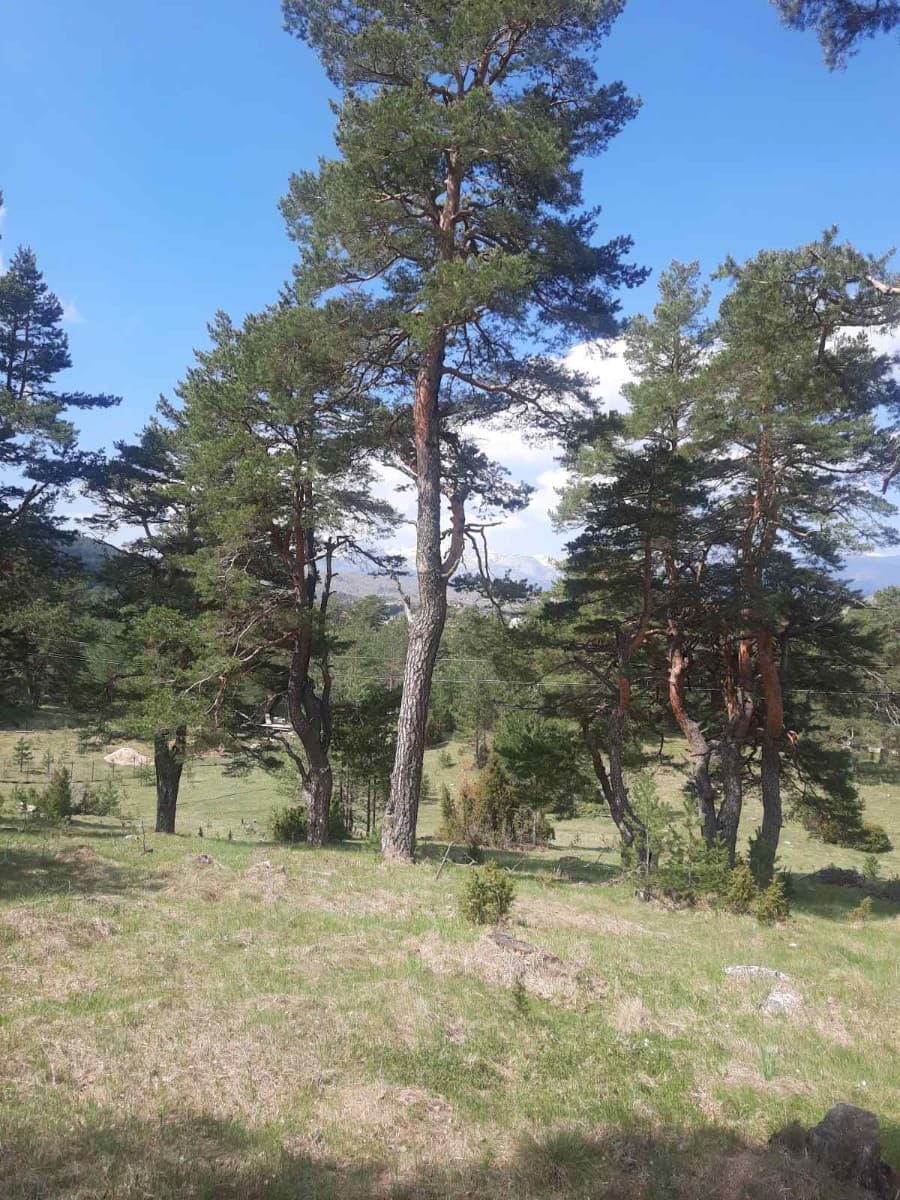 Prodaje se urbanizovan plac