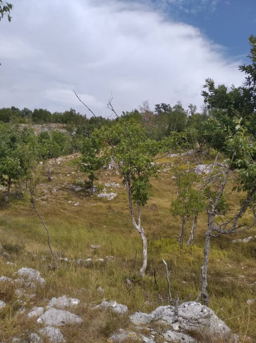 Prodaje se plac