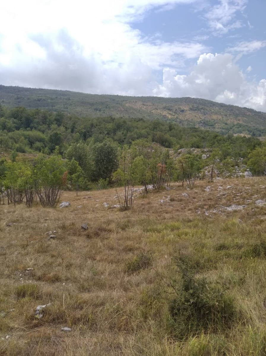 Prodaje se plac